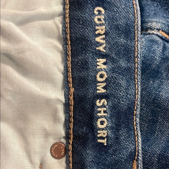 American Eagle Outfitters Blue Jean Shorts Distressed High-Waisted - Picture 4 of 5